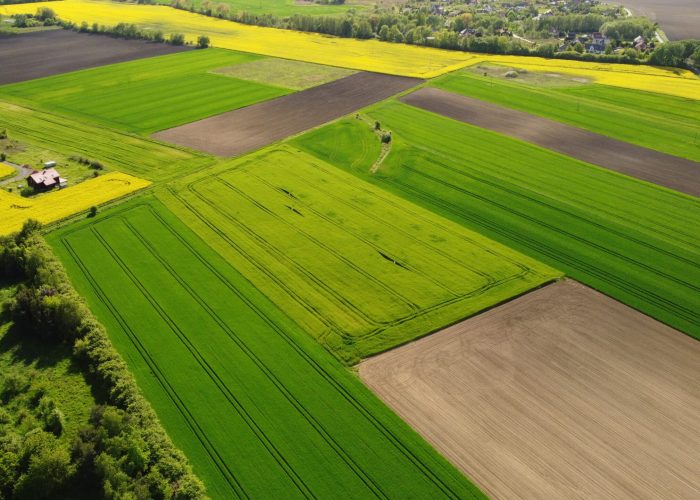 DCIM100MEDIADJI_0576.JPG Usługi dronem w rolnictwie Wałbrzych